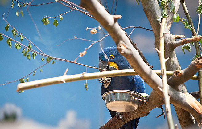 手机被攻击连续收电话