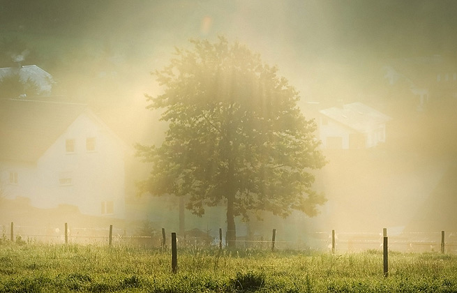 手机被攻击连续收电话