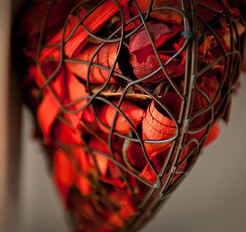 网络手机号呼叫软件免费版