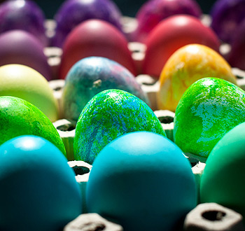 网络手机号呼叫软件免费版