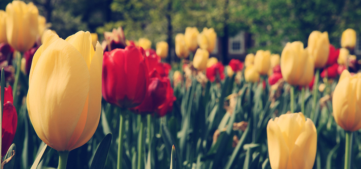 极速启动流畅的轰炸短信信息软件免费版